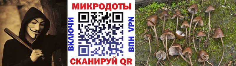 купить наркотики сайты  Сычёвка  Псилоцибиновые грибы GOLDEN TEACHER 